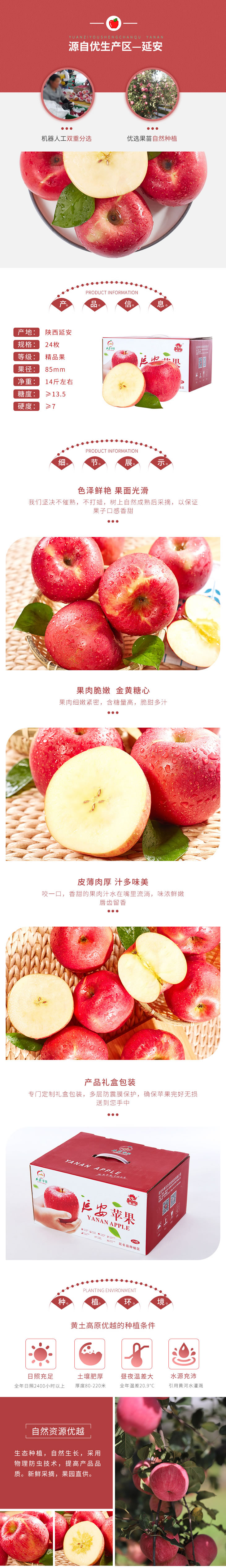 24枚198元 .jpg